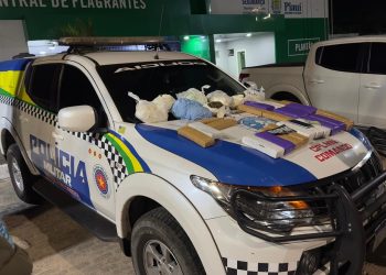 Polícia Militar apreende grande quantidade de drogas em ônibus na rodoviária de Parnaíba
