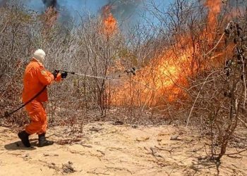 Piauí registra redução de 42% nos focos de incêndio em agosto, segundo Corpo de Bombeiros