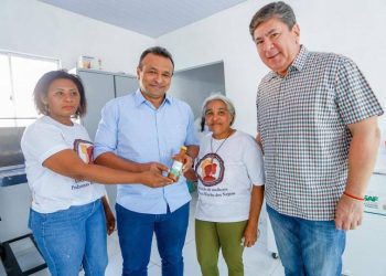 Sada e Adapi entregam certificado de inspeção de produto de origem vegetal em Palmeirais
