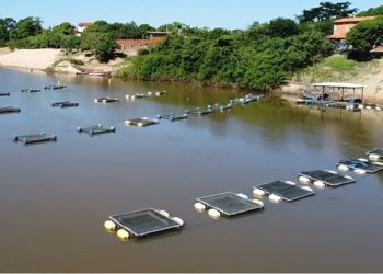 Codevasf capacita pescadores e aquicultores no uso de nova tecnologia que monitora a qualidade da água e gera relatórios em tempo real