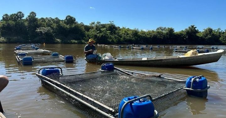 Codevasf abre inscrições para XII Encontro dos Projetos de Pesca e Aquicultura apoiados no Norte do Piauí