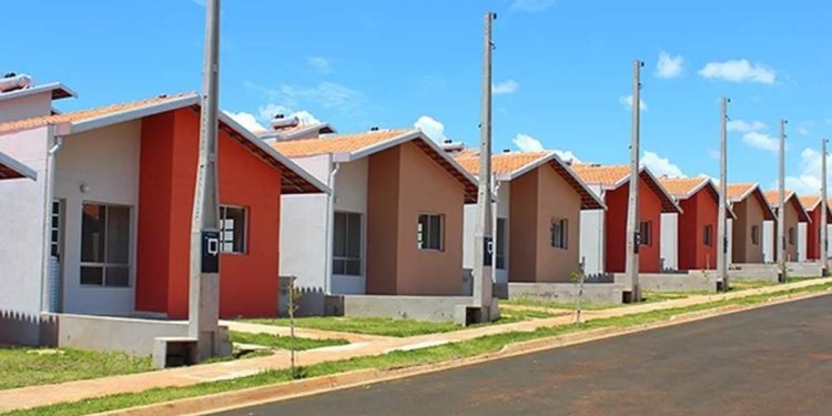 Minha Casa Minha Vida no Piauí: Sinduscon aponta apostas e desafios para entregas em 2026