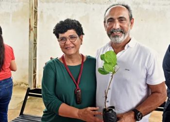 Prefeitura de Santo Antônio de Lisboa recebe 10 mil mudas de caju e vai distribuir para produtores do município