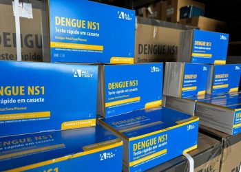 Piauí recebe do Ministério da Saúde mais de 10 mil testes rápidos para dengue