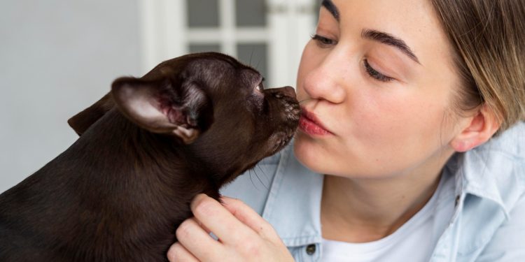 “Lambeijos” dos pets podem ser perigosos à saúde humana?