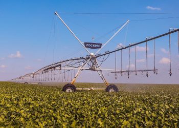 Baixa Grande do Ribeiro é o 22º município mais rico do Brasil no agronegócio