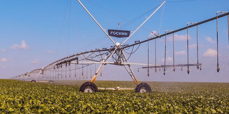Baixa Grande do Ribeiro é o 22º município mais rico do Brasil no agronegócio