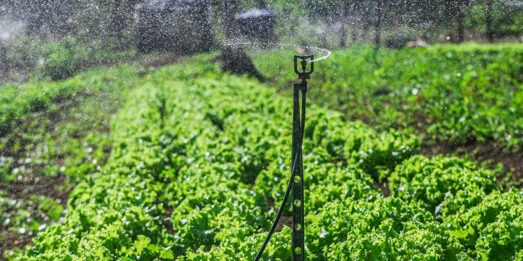 SAF realiza entrega kits de irrigação para agricultores familiares de 49 municípios nesta quinta (29)