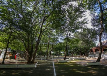 Plataforma internacional destaca Teresina como cidade que acelera iniciativas para se tornar verde e resiliente às mudanças climáticas