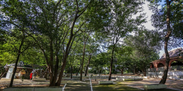 Plataforma internacional destaca Teresina como cidade que acelera iniciativas para se tornar verde e resiliente às mudanças climáticas