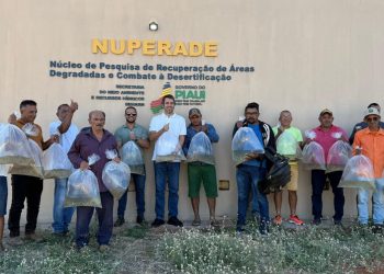 Semarh repovoa rios e lagoas do Sul do Piauí com mais de 400 mil alevinos de espécies nativas