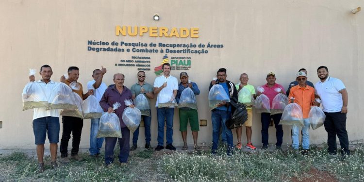 Semarh repovoa rios e lagoas do Sul do Piauí com mais de 400 mil alevinos de espécies nativas