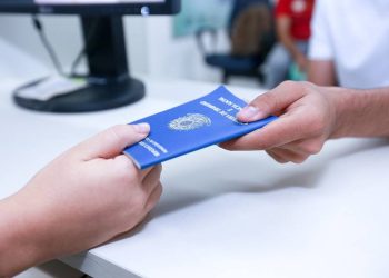 Comércio tem número recorde de pessoas ocupadas no Piauí, aponta pesquisa do IBGE