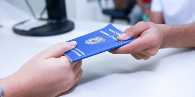 Comércio tem número recorde de pessoas ocupadas no Piauí, aponta pesquisa do IBGE