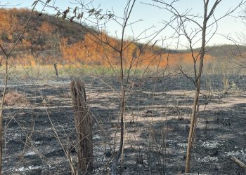 Proibição de queimadas entra em vigor no Piauí a partir desta sexta (15)