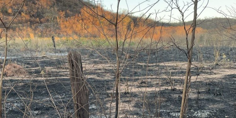 Proibição de queimadas entra em vigor no Piauí a partir desta sexta (15)