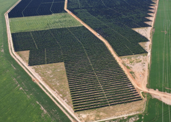 Usina solar inicia operação em Ribeiro Gonçalves e reforça protagonismo do Piauí em energias renováveis