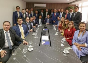 OAB Nacional recebe comitiva da OAB-PI e fortalece diálogo com a advocacia piauiense