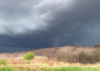 Meteorologia aponta chuvas intensas no sul do Piauí para os próximos dias