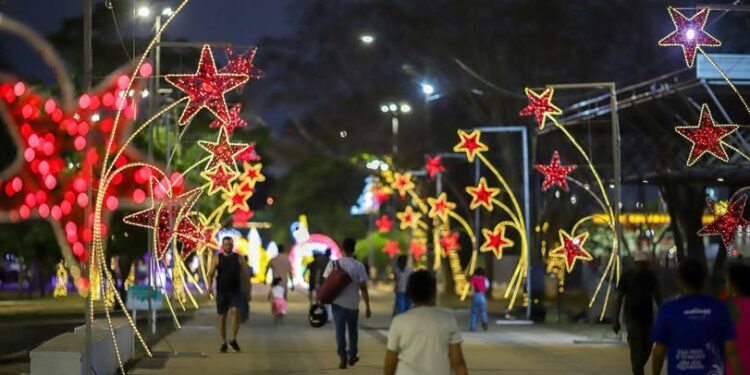 Prefeitura de Teresina entrega decoração de Natal com árvore gigante e ilumina parque e pontes