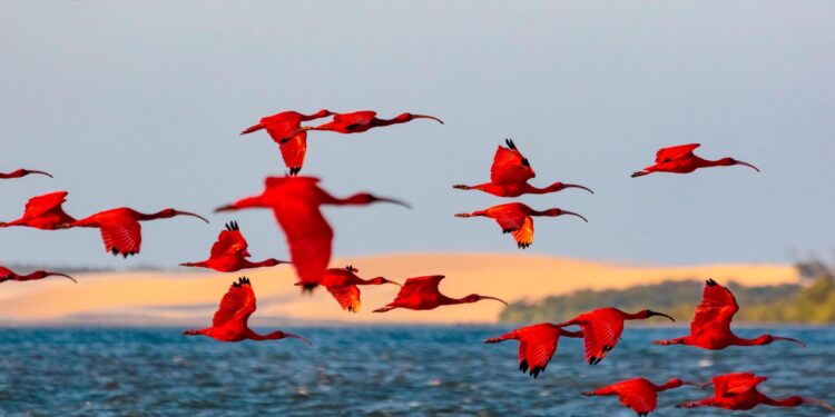 Rota das Emoções celebra 20 anos com expansão econômica, fortalecimento institucional e maior projeção internacional