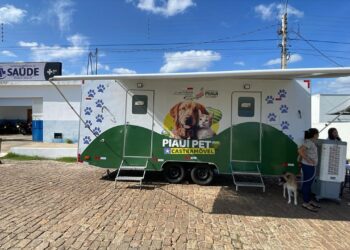 Castramóvel: Clínica veterinária volante bate recorde de castrações e inicia 2026 com ação histórica no sul do Piauí