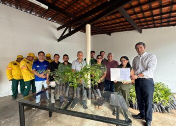 Semarh inicia calendário 2026 com distribuição de 11 mil mudas frutíferas e nativas no Piauí
