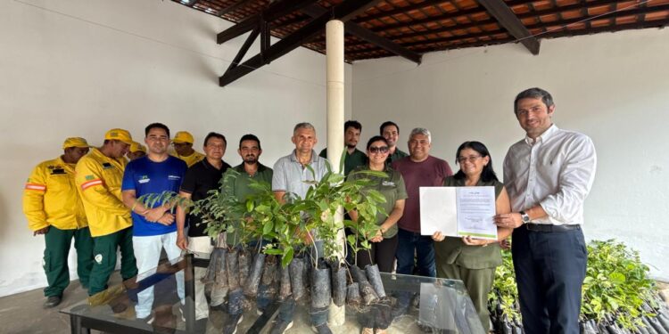 Semarh inicia calendário 2026 com distribuição de 11 mil mudas frutíferas e nativas no Piauí