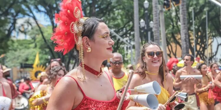 Piauí e mais 17 estados aderem a Campanha contra assédio sexual no carnaval