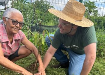 Prefeitura de Teresina realiza plantio de cerca de 150 mudas na Av. Noé Mendes