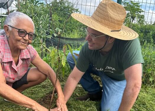 Prefeitura de Teresina realiza plantio de cerca de 150 mudas na Av. Noé Mendes