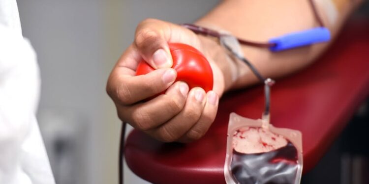 PL Mulher realiza ação do Dia das Mulheres com campanha de doação de sangue neste sábado (7)