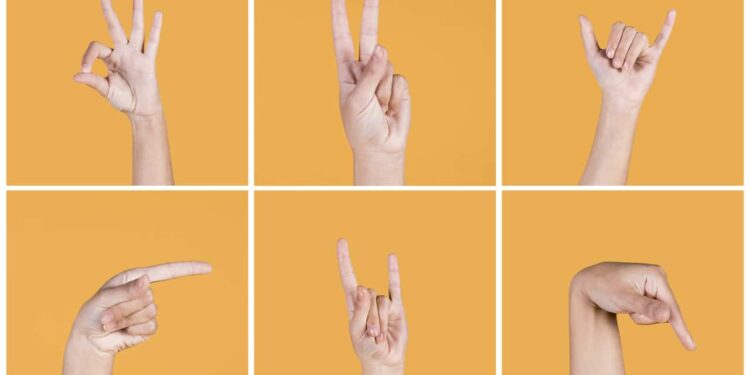 Seduc abre 240 vagas para cursos gratuitos de Libras em Teresina; saiba como se inscrever