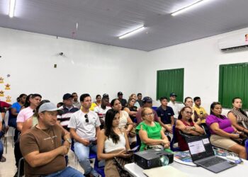Badespi promove orientação e simulação de crédito para empreendedores de Campo Maior no sábado (7)