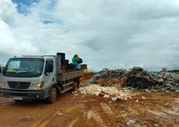 Adapi autua e determina descarte de 3,5 toneladas de queijo irregular apreendidas pela PRF em Picos