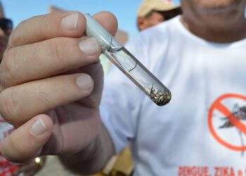 Teresina registra um caso de dengue tipo 3 e intensifica ações de prevenção