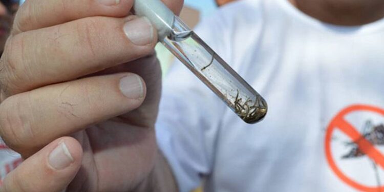 Teresina registra um caso de dengue tipo 3 e intensifica ações de prevenção
