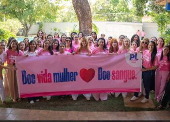 PL Mulher Piauí realiza ação de doação de sangue em homenagem ao Dia da Mulher