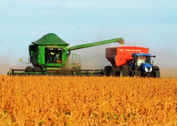 Piauí registra superávit de US$ 11,4 milhões na balança comercial em fevereiro
