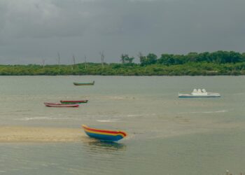 Novo roteiro Encanto dos Guarás atrai visitantes com revoada de aves e integração nas praias do litoral do Piauí