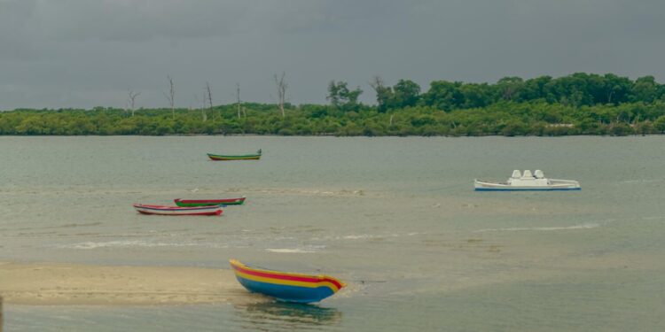 Novo roteiro Encanto dos Guarás atrai visitantes com revoada de aves e integração nas praias do litoral do Piauí