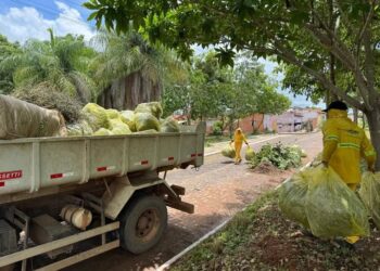 6ª edição do “SDU nos Bairros” chega ao Torquato Neto com grande mutirão de limpeza e manutenção