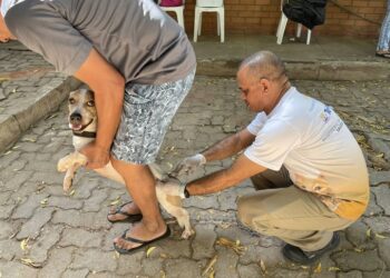 Vacinação contra a raiva na zona rural começa neste sábado (18)
