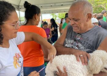 Campanha de vacina contra raiva acontece nas zonas rurais sul e sudeste no sábado (25)
