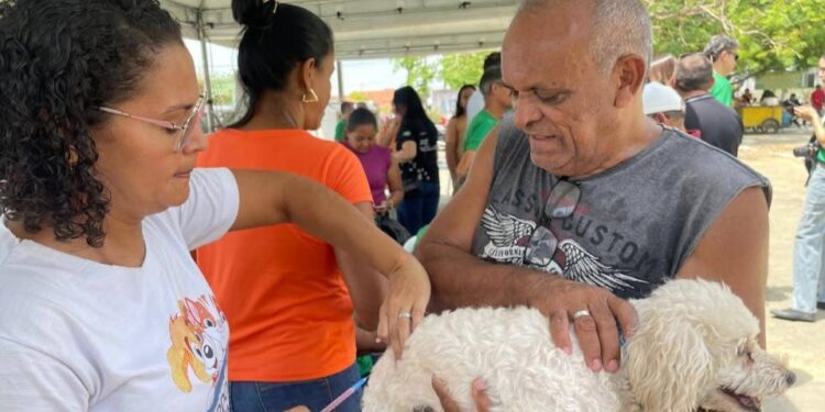 Campanha de vacina contra raiva acontece nas zonas rurais sul e sudeste no sábado (25)