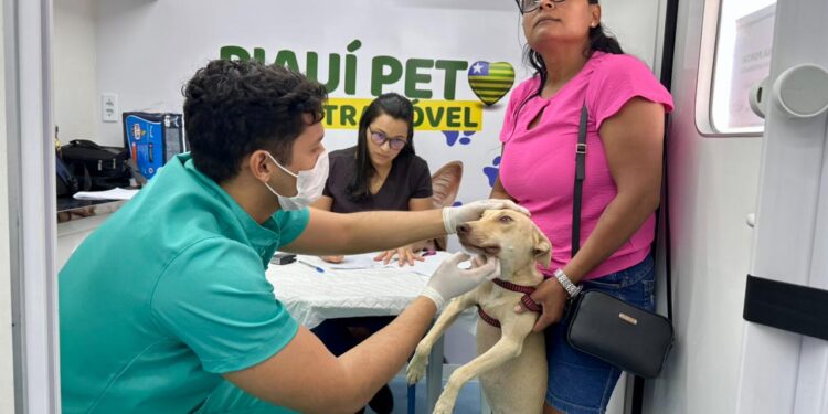 Castramóvel leva atendimentos a 4 cidades do Piauí neste mês e amplia ações de cuidado e bem-estar animal