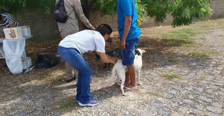 FMS divulga postos de vacinação antirrábica para etapa urbana nas zonas Norte e Leste no sábado (9)