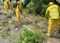 Prefeitura de Teresina recolhe 656 toneladas de resíduos durante mutirão