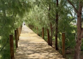 Turismo e investimentos transformam Praia de Macapá em vitrine da economia criativa no litoral do Piauí