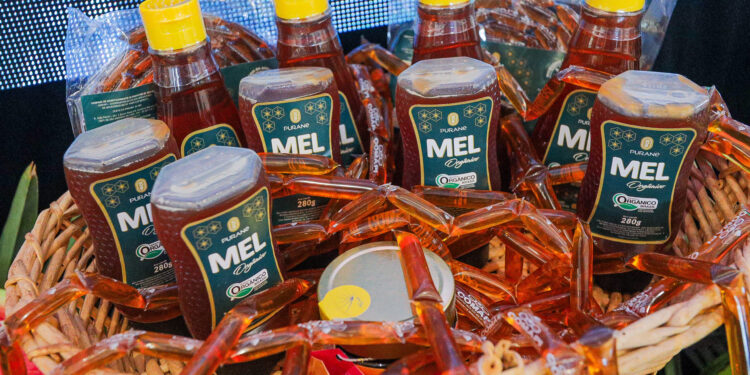 Do sertão para o mundo: produção de mel no Piauí transforma realidade de agricultores familiares com aumento das exportações